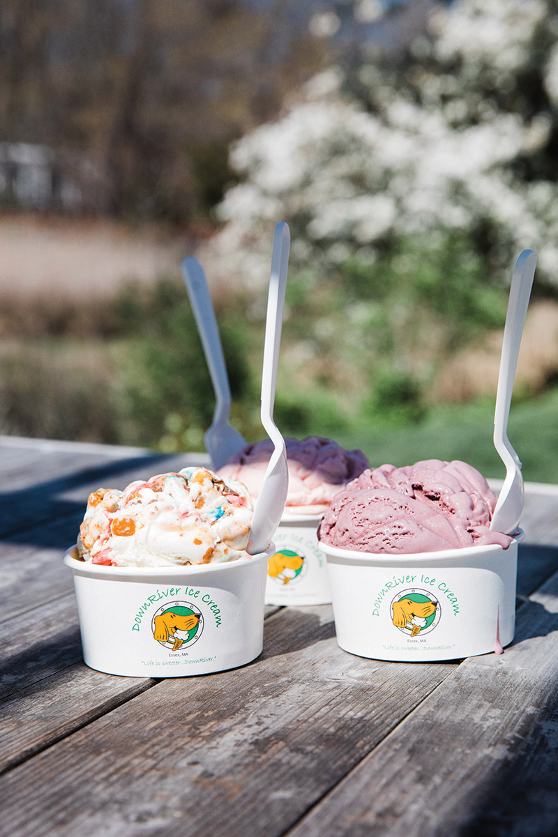 Dahlias, Dumplings, and More 25 Hidden Gems on the North Shore Northshore Magazine