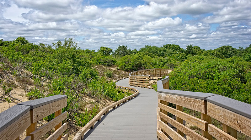 forest trips near boston