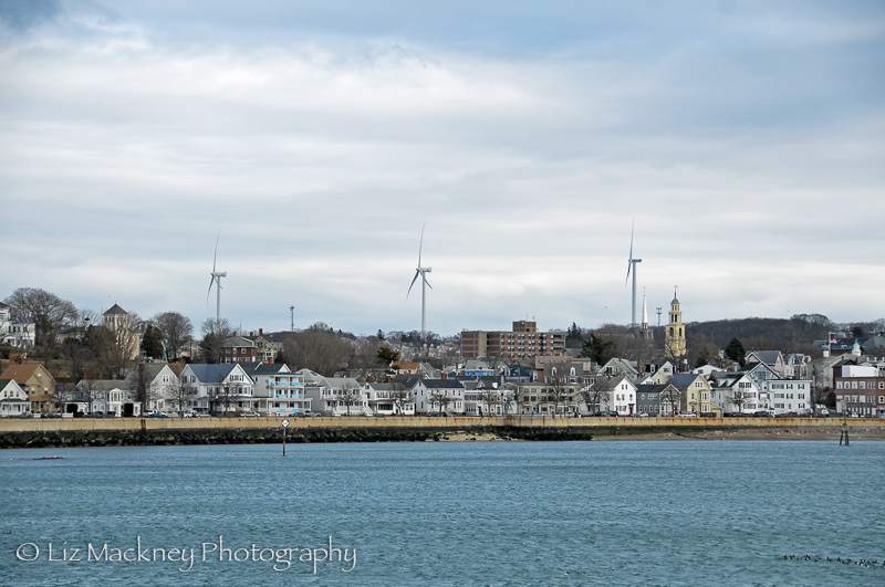 Greening Gloucester Northshore Magazine